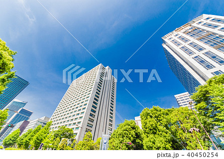 新緑と東京のビル群 40450254