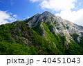 容姿端麗な甲斐駒ケ岳 40451043