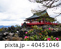 鬼押出し神社 40451046