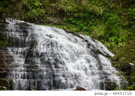 西表島　マヤグスクの滝 40451710