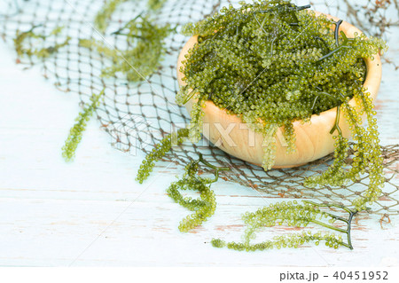 Fresh Sea Grapes (Caulerpa Lentillifera) , 40451952