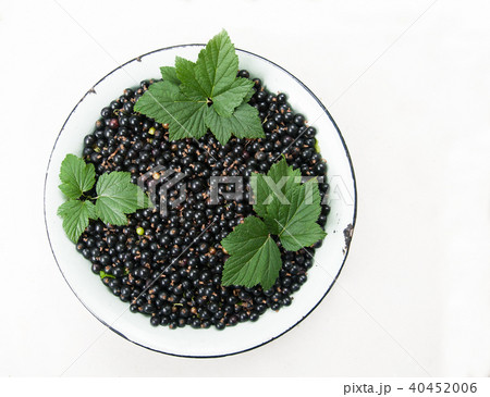 Full bowl of black currant 40452006