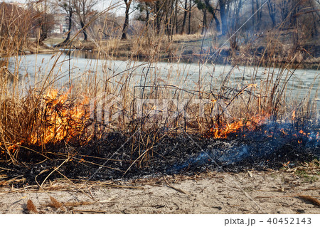 Strong fire in the forest on the lake.  40452143