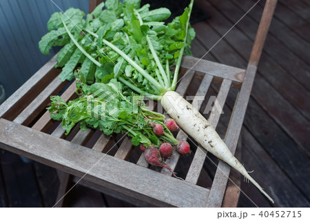 農業・田舎イメージ 農業・田舎イメージ 40452715