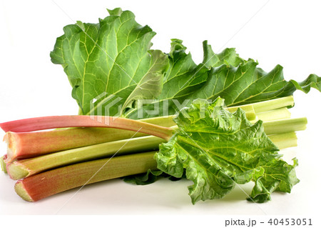 ルバーブ 40453051