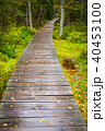 path in woods - Rejviz, Czech Republic 40453100