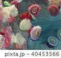 Postcard with a beautiful corals in a sea 40453566