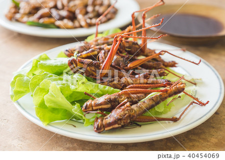 Close up of Fried insects in dish with sauce. Close up of Fried insects in dish with sauce. 40454069