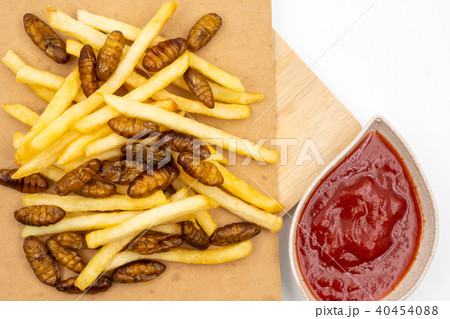 french fries with fried insects and ketchup 40454088