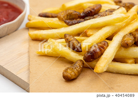 french fries with fried insects and ketchup 40454089