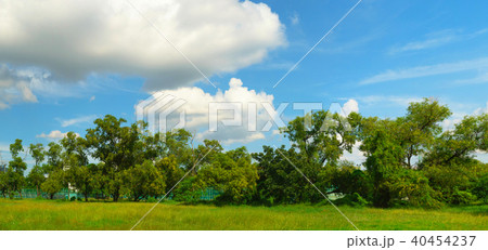 Green park panorama under blue sky 40454237
