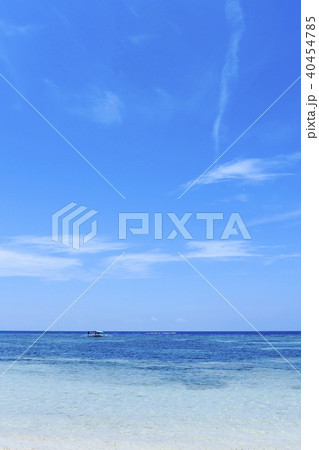 ビーチ 海 南国 トロピカル フィリピン ビーチ 海 南国 トロピカル フィリピン 40454785