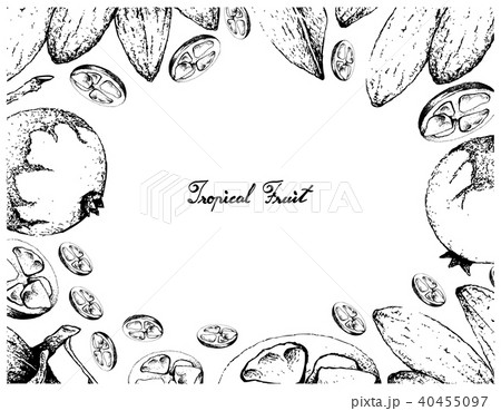 Hand Drawn Frame Baga de Macaco Banana de Macaco 40455097