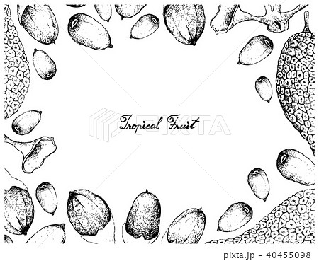Hand Drawn Frame of Buah Dabai and Cempedak Fruits 40455098