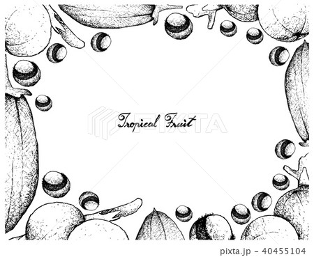 Hand Drawn Frame of Baobab and Cambuca Fruits 40455104