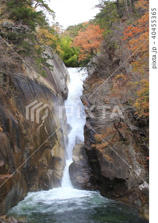 秋の仙娥滝と虹（御嶽昇仙峡） 40455365