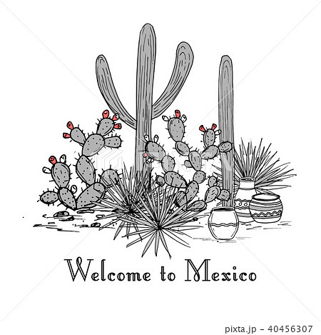 Cacti group. Prickly pear cactus, 40456307