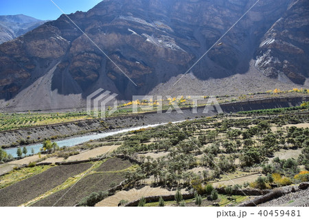 インドの山岳地帯　スピティ谷の絶景　タボ村からカザまでの景色　美しい山と川 40459481