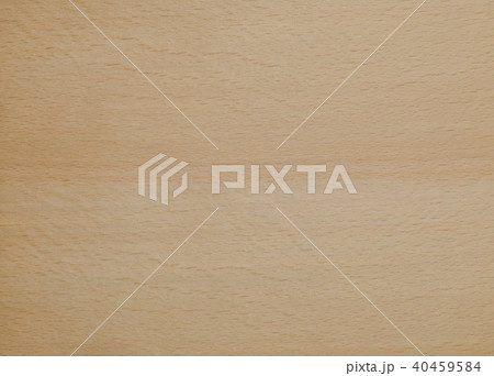 ブナ（柾目） 40459584