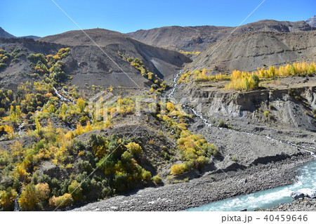インドの山岳地帯　スピティ谷の絶景　タボ村からカザまでの美しい山と川　紅葉する木々 40459646