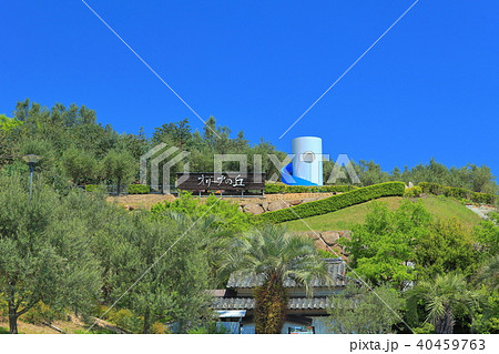 小豆島オリーブ園 小豆島オリーブ園 40459763