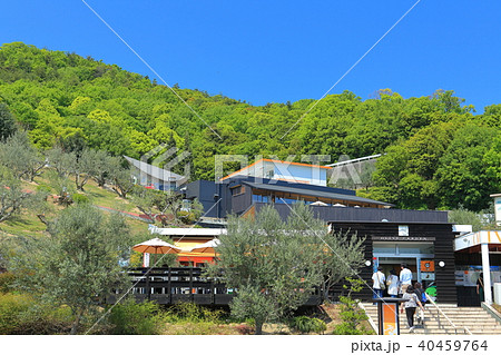 小豆島オリーブ園 小豆島オリーブ園 40459764