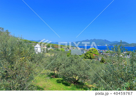 小豆島オリーブ公園 40459767