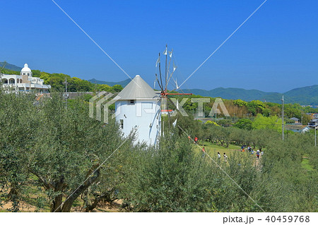 小豆島オリーブ公園 小豆島オリーブ公園 40459768