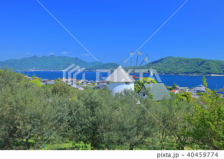 小豆島オリーブ公園 小豆島オリーブ公園 40459774