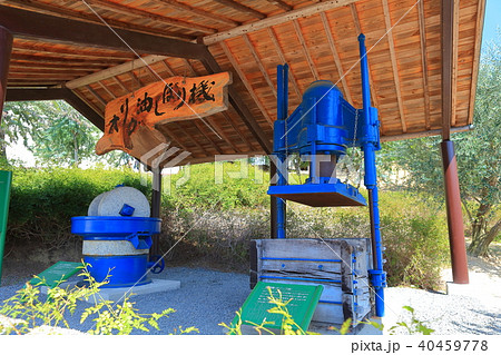 小豆島オリーブ公園のオリーブ油しぼり機 40459778