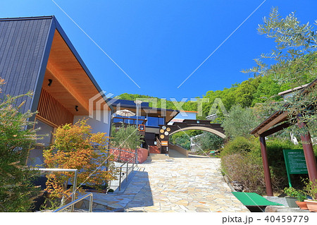 小豆島オリーブ園 小豆島オリーブ園 40459779