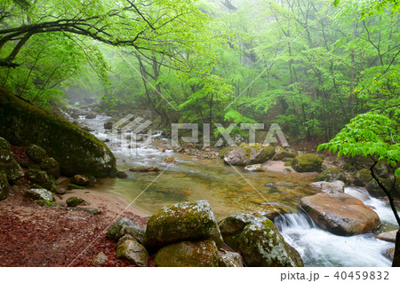 本谷川渓谷 40459832