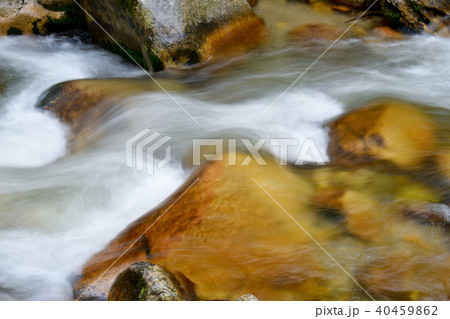 本谷川渓谷 40459862