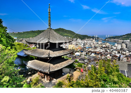 尾道　千光寺周辺 40460387