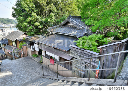 尾道　千光寺周辺 40460388