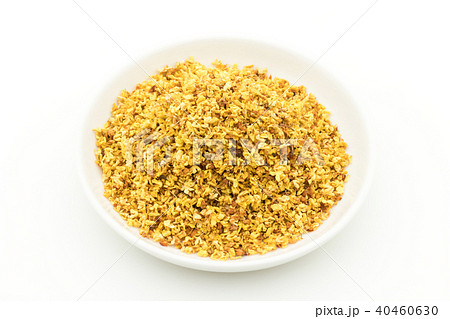 お茶用キンモクセイ 40460630