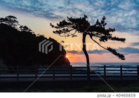高戸小浜海岸 40460859