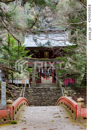 花園神社 花園神社 40460868