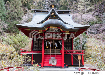 花園神社 40460880