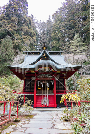 花園神社 40460881