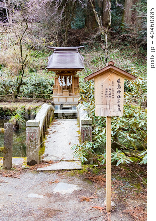 花園神社 花園神社 40460885
