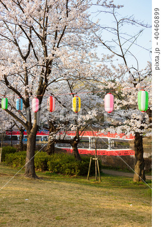 岩槻城址公園 40460899