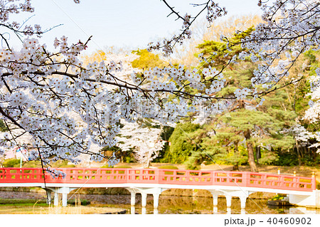 岩槻城址公園 40460902