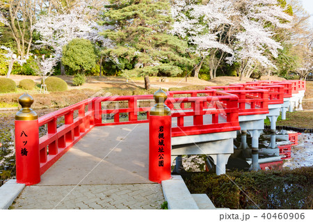 岩槻城址公園 岩槻城址公園 40460906