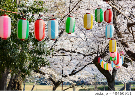 岩槻城址公園 40460911