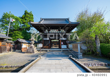 京都 梅宮大社の楼門(随身門) 京都 梅宮大社の楼門(随身門) 40460991