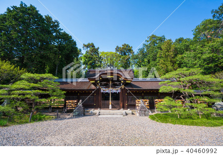 京都　梅宮大社の本殿 40460992