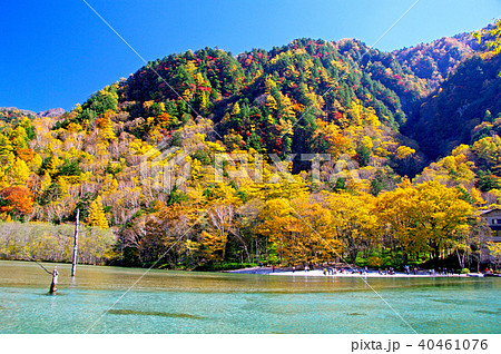 上高地-大正池の紅葉 上高地-大正池の紅葉 40461076