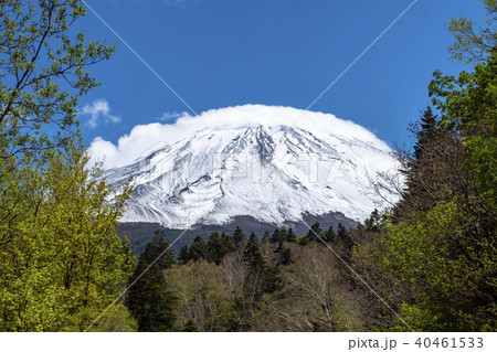 富士スバルライン二合目からの富士山頂 富士スバルライン二合目からの富士山頂 40461533
