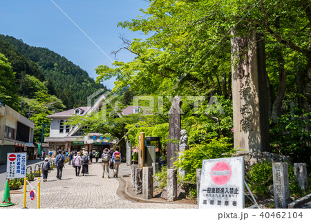 新緑の高尾山 清滝駅前のもみじ広場 新緑の高尾山 清滝駅前のもみじ広場 40462104
